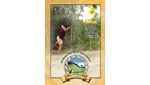 PDGA 2007 Pro World Championships (PDGA 2007 Pro World Championships, DVD)