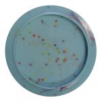 Spinosaurus- Egg Shell - 1