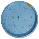 Depth Charge- Collapse - 1