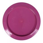 Raider- BioFuzion - 1