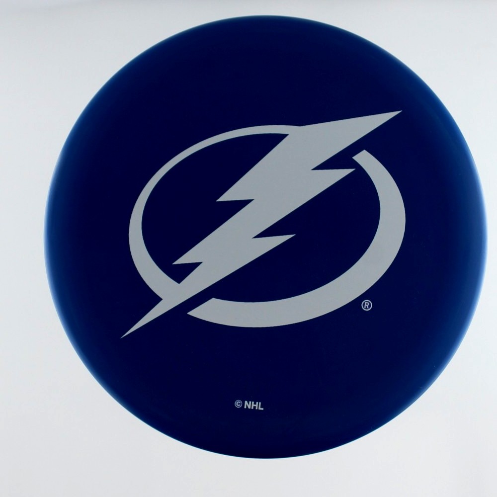 Pivot - NHL Logos - Unique - 173.4 gm -  Disc ID: 592574