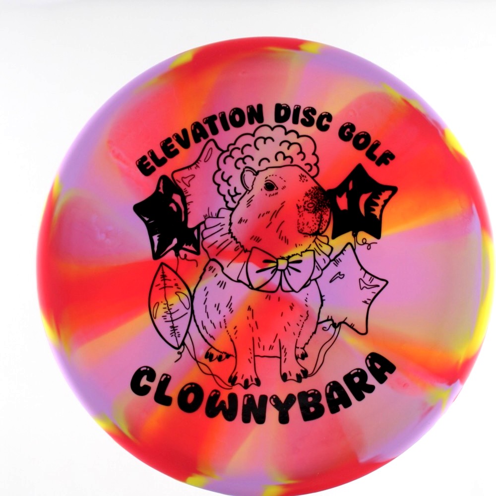 Capybara - Standard - Unique - 172.8 gm -  Disc ID: 594801