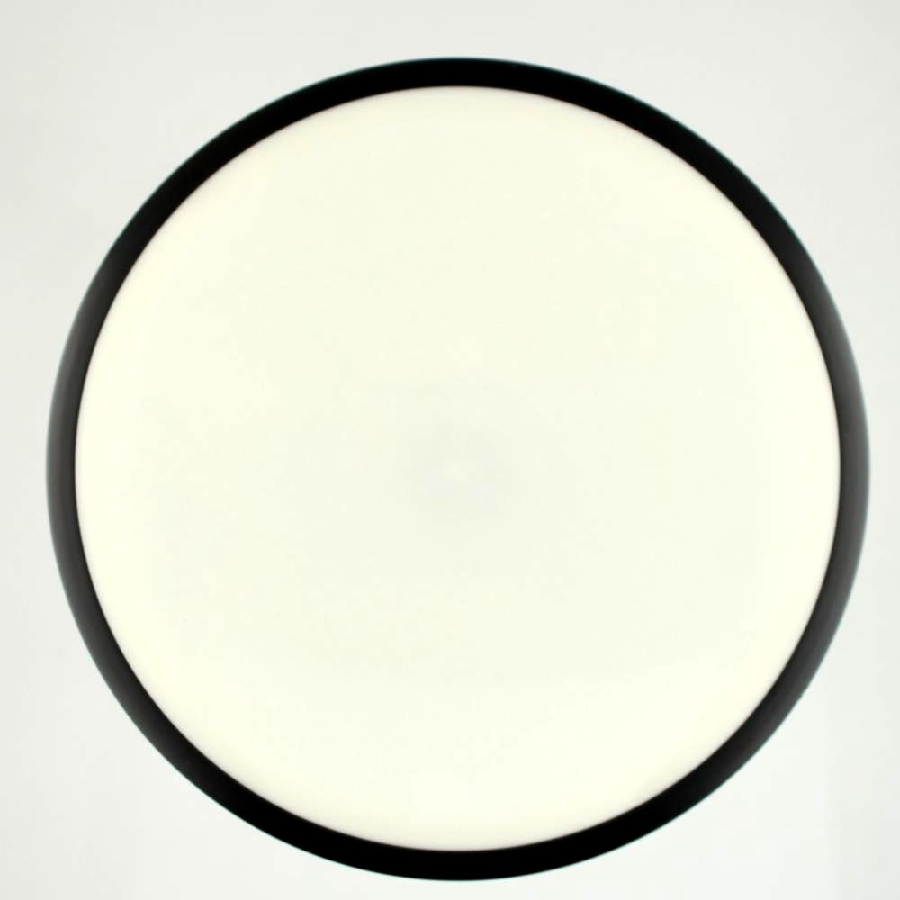 Signal - Dyers Delight - White - 173.2 gm -  Disc ID: 598983