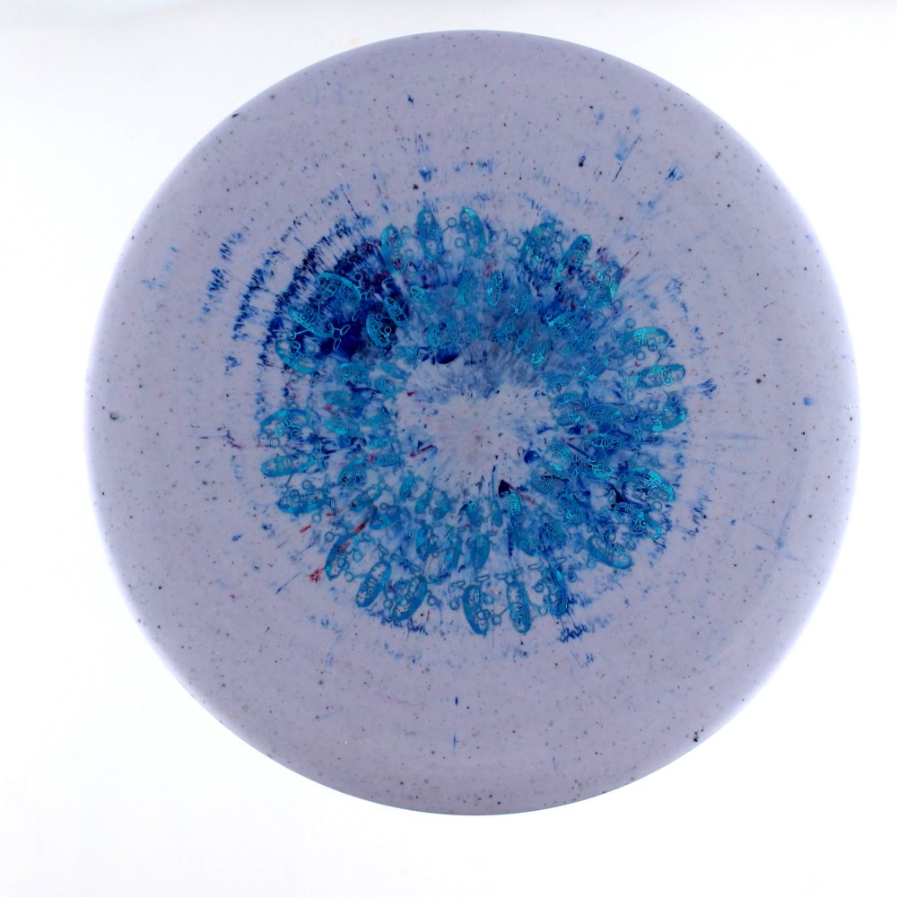 Pickle - Standard - Purple - 174.9 gm -  Disc ID: 611813