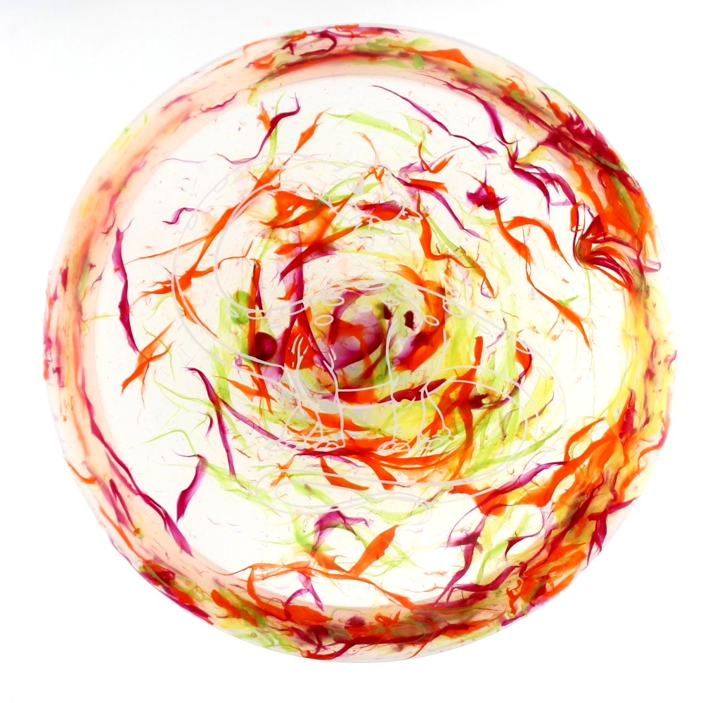 Diplodocus - Standard - Unique - 127.2 gm -  Disc ID: 613628