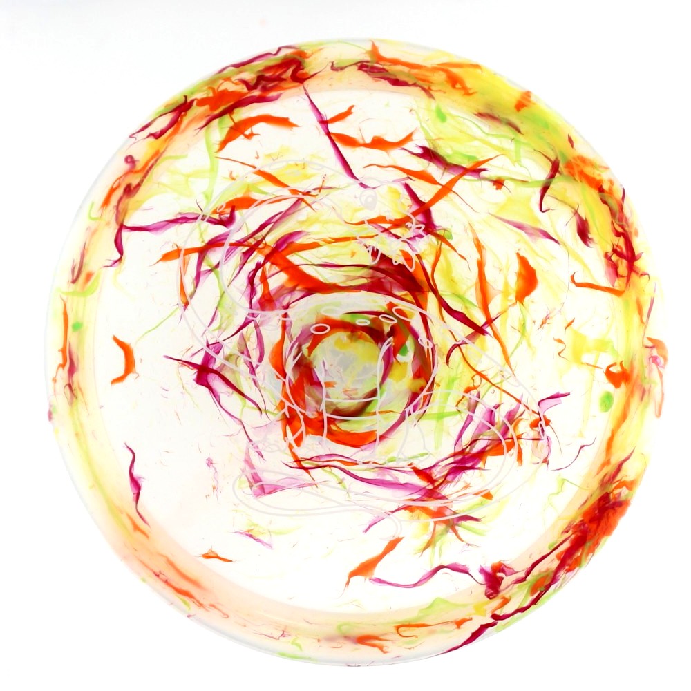 Diplodocus - Standard - Unique - 127.2 gm -  Disc ID: 613632