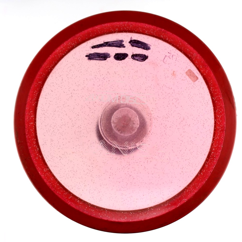 Collector - Latitude 64 - As Pictured - 175.2 gm -  Disc ID: 614135